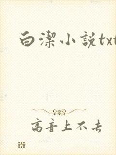 白洁小说txt