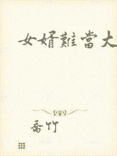女婿难当大结局