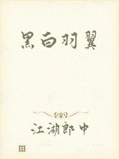 黑白羽翼