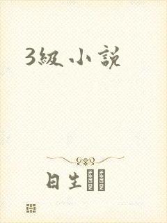 3级小说