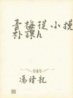 青梅从小摸到大补课h