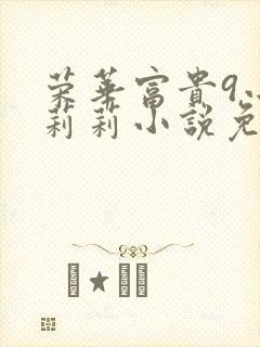 荣华富贵9小王莉莉小说免费阅读封面