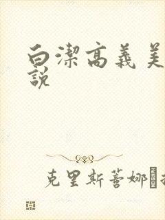 白洁高义美红小说