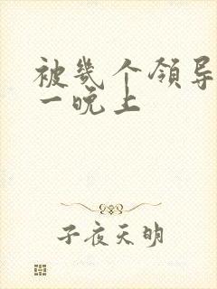 被几个领导玩弄一晚上