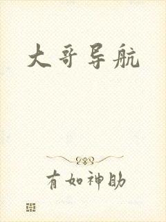 大哥导航
