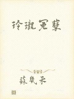 玲珑冤孽