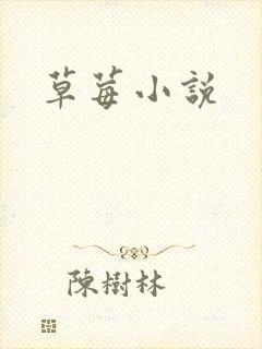 草莓小说封面