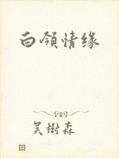 白领情缘