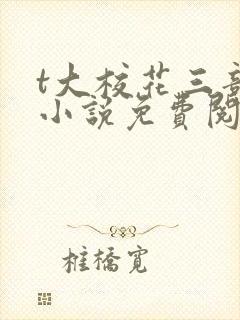 t大校花三部曲小说免费阅读全文