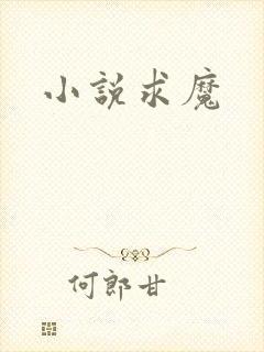 小说求魔封面