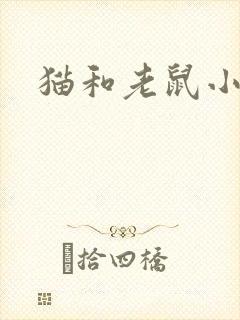猫和老鼠小说