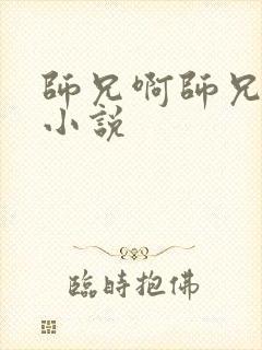 师兄啊师兄原著小说封面