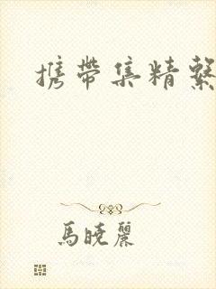 携带集精系统封面