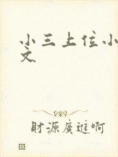 小三上位小说全文