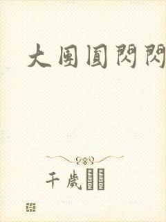 大团圆闪闪发光封面
