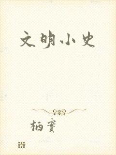 文明小史
