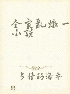 全家乱炖一锅烩小说封面