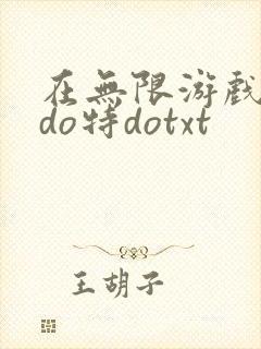 在无限游戏大里do特dotxt封面