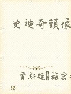 史迪奇头像