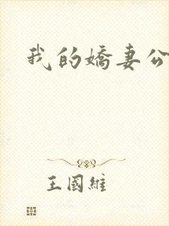 我的娇妻公务员