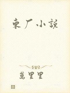 东厂小说