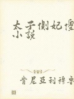 太子侧妃傻乎乎小说