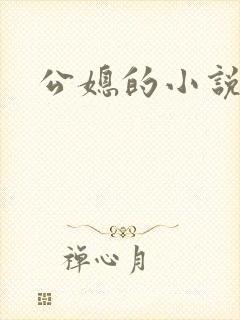 公媳的小说