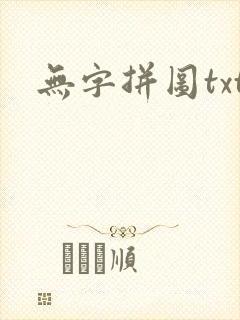 无字拼图txt封面