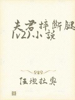 夫君摔断腿后(1v2)小说