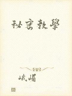 秘密教学封面