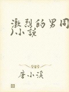 激烈的男同(h)小说