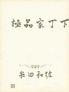 极品家丁下载
