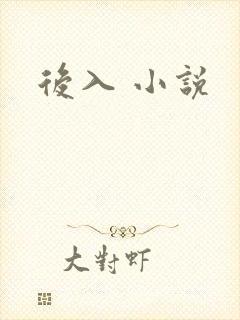 后入 小说封面