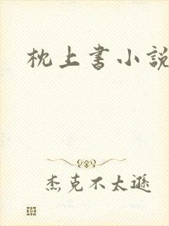 枕上书小说