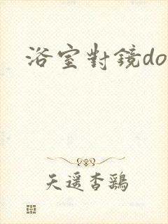 浴室对镜doi