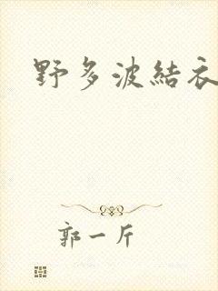 野多波结衣封面