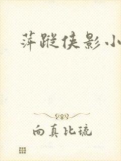 萍踪侠影小说