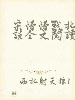 宋惜惜战北望小说全文阅读