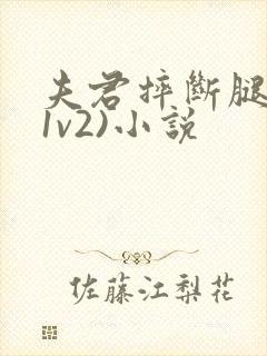 夫君摔断腿后(1v2)小说