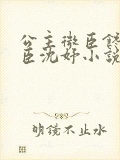 公主微臣馋了微臣沈妤小说