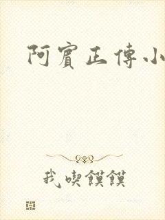阿宾正传小说