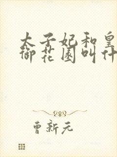 太子妃和皇帝在御花园叫什么小说封面