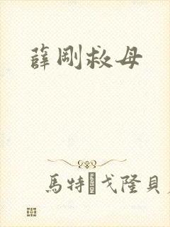 薛刚救母