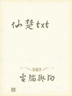 仙楚txt封面