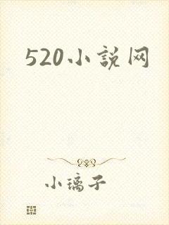 520小说网