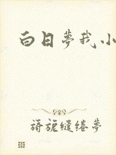 白日梦我小说