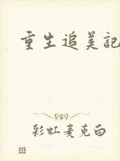 重生追美记2封面