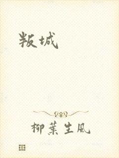 叛城封面