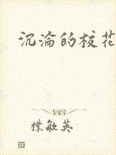 沉沦的校花