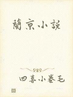 兰京小说